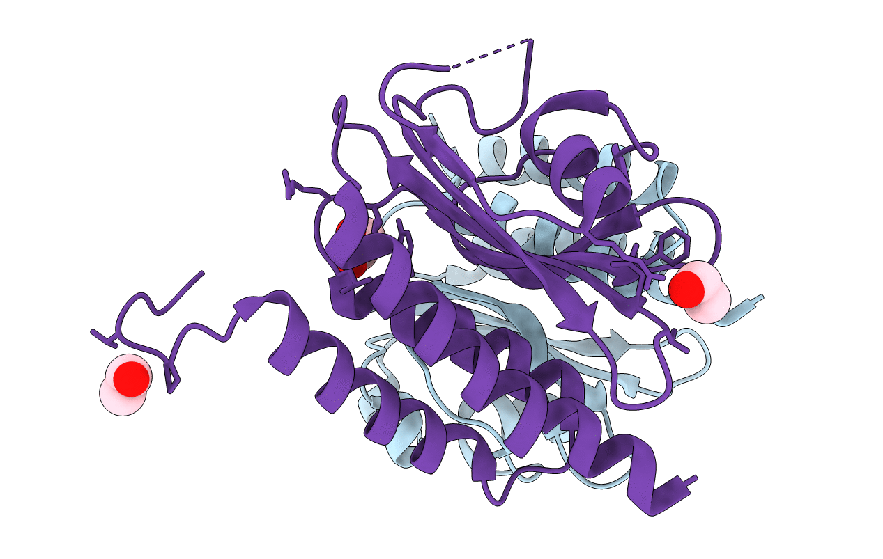 5HL6 image
