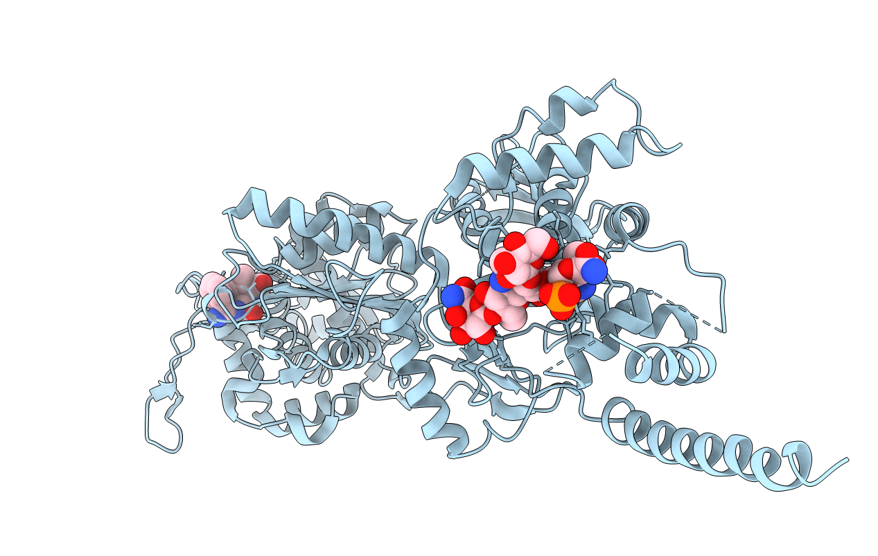 5HLA image