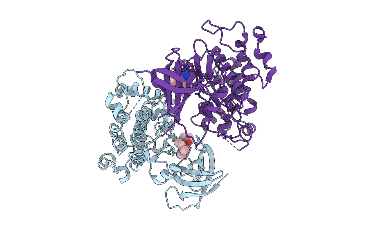 5HLP image