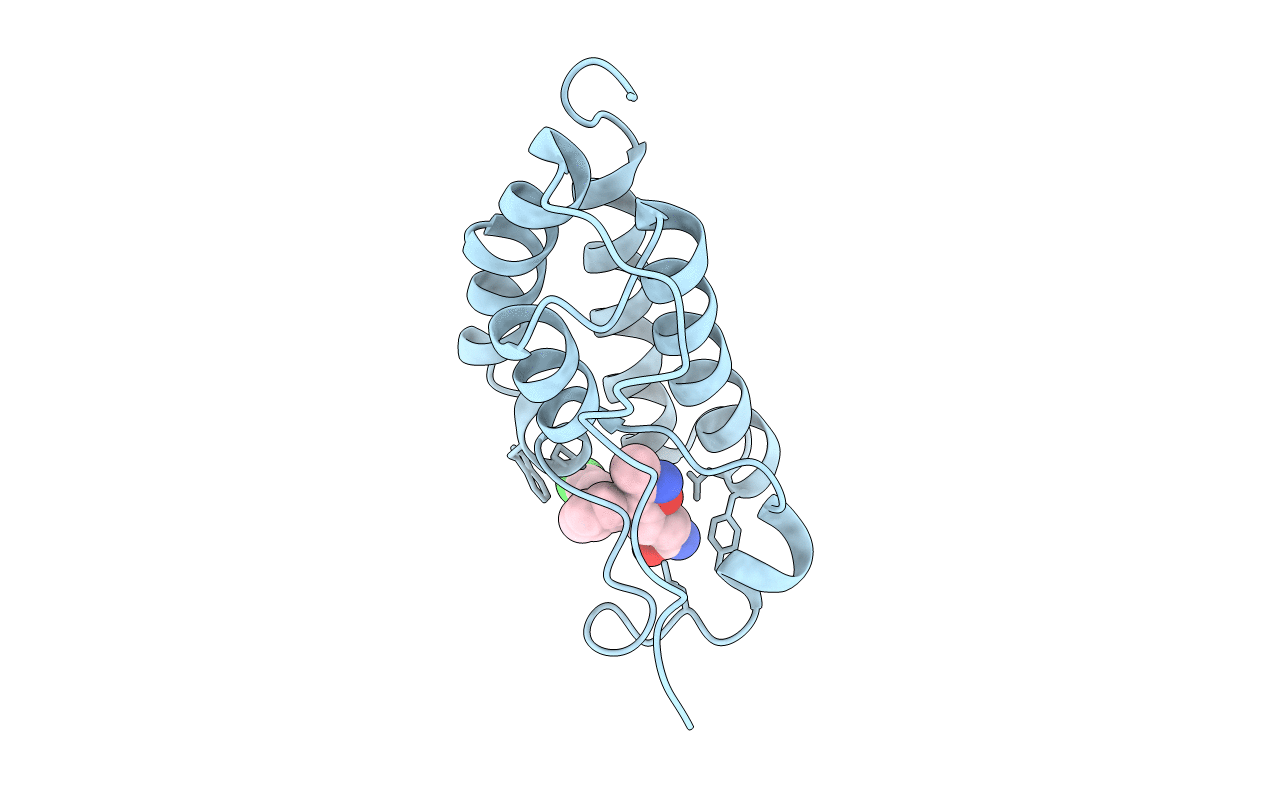 5HLS image