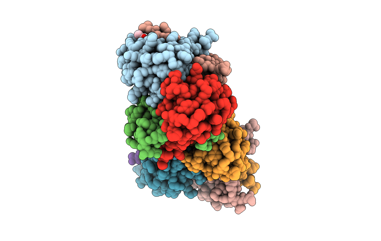 5HLV image