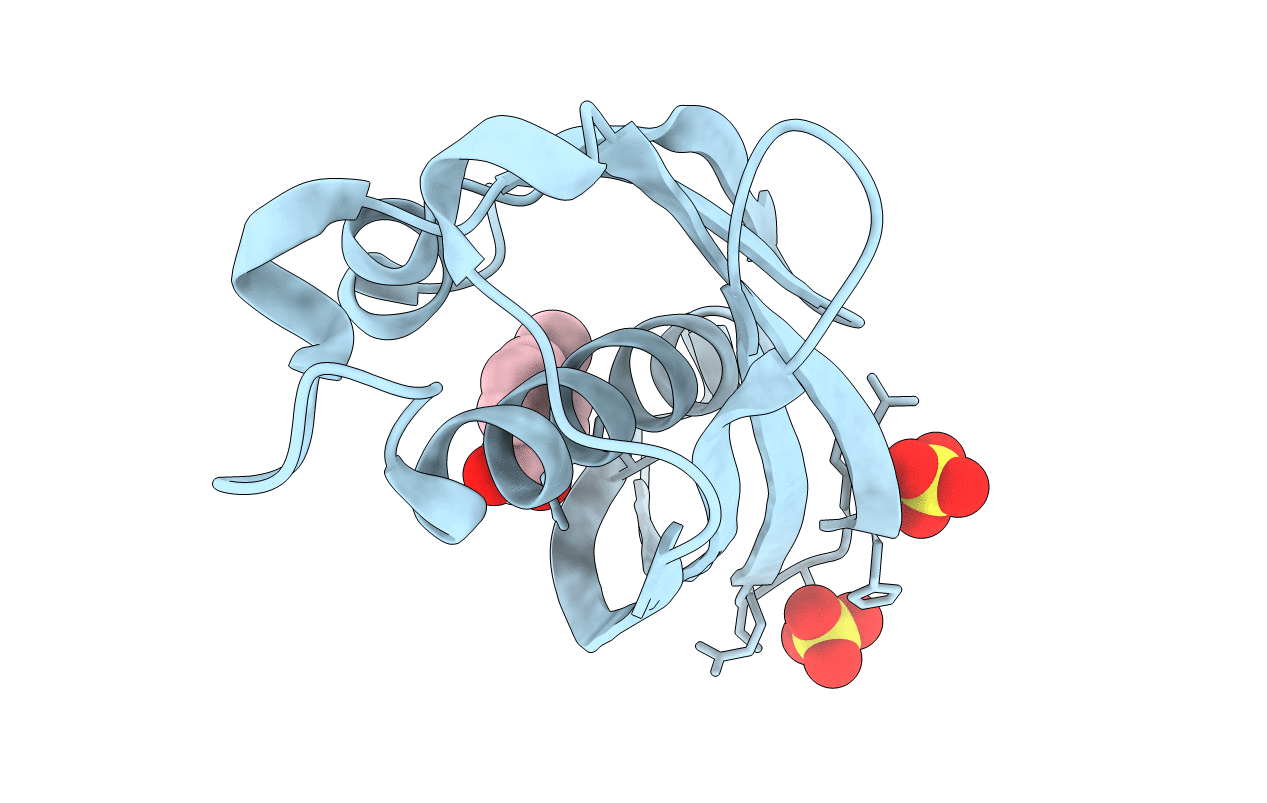 5HMC image