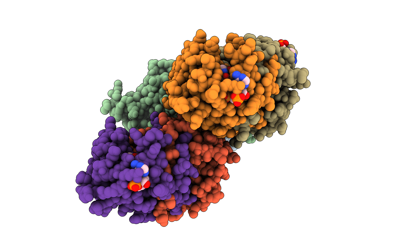 5HMN image