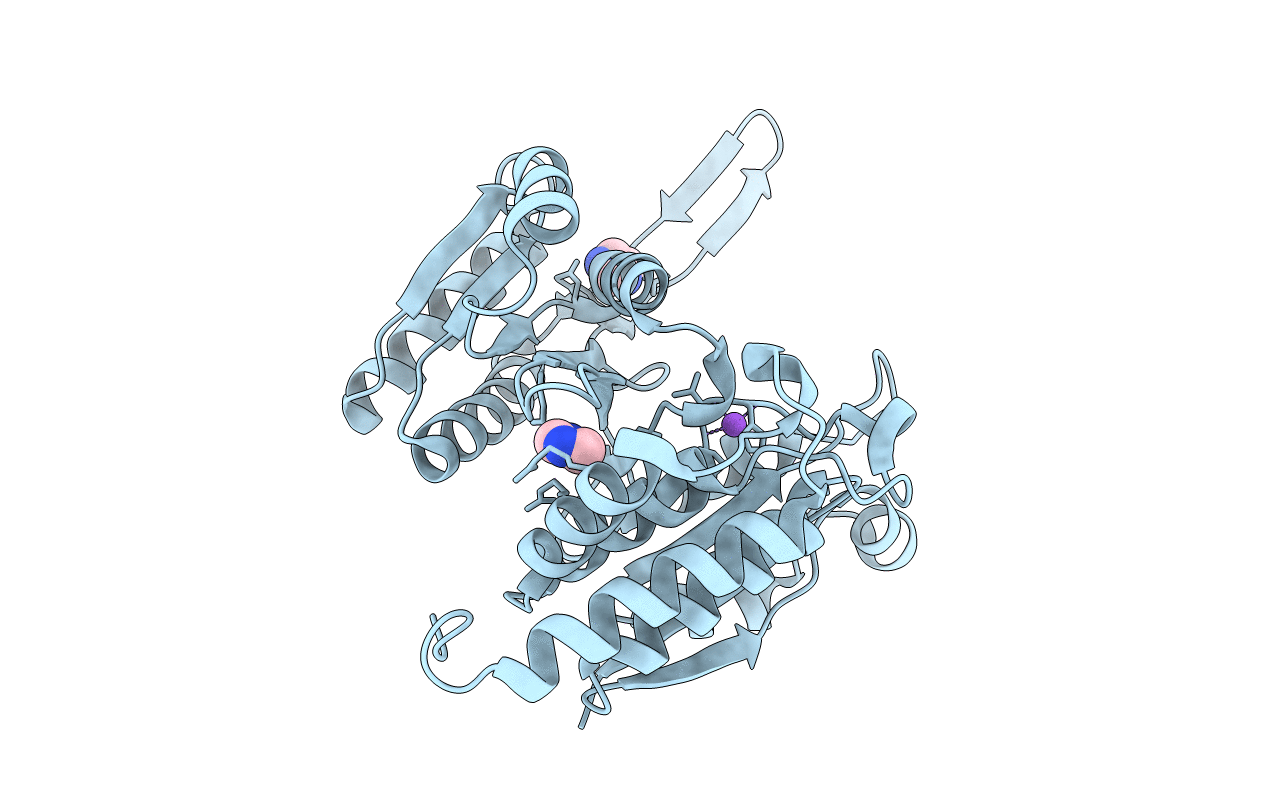 5HN3 image