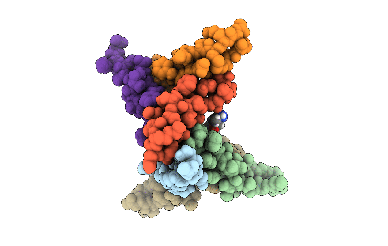 5HOX image