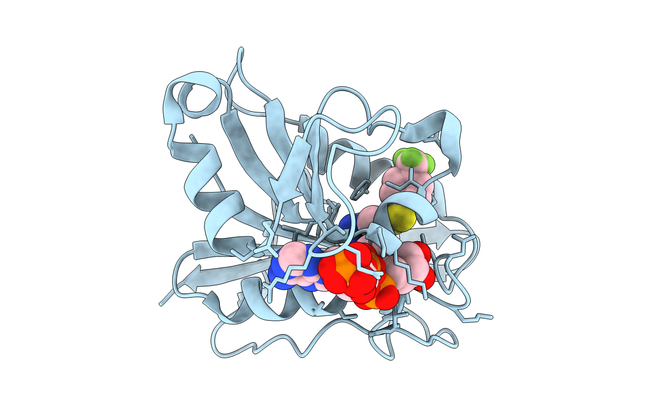 5HPB image