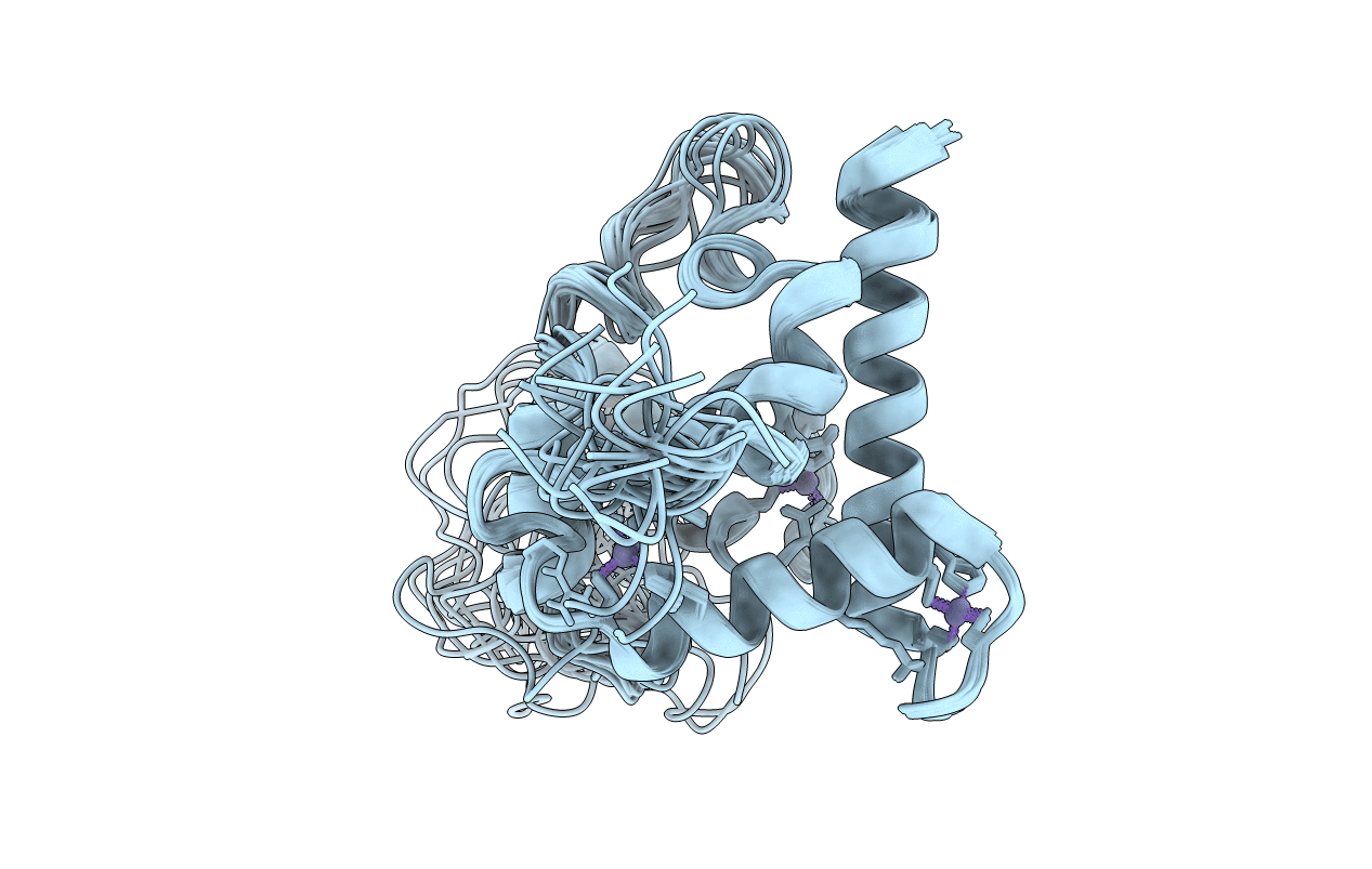 5HPD image