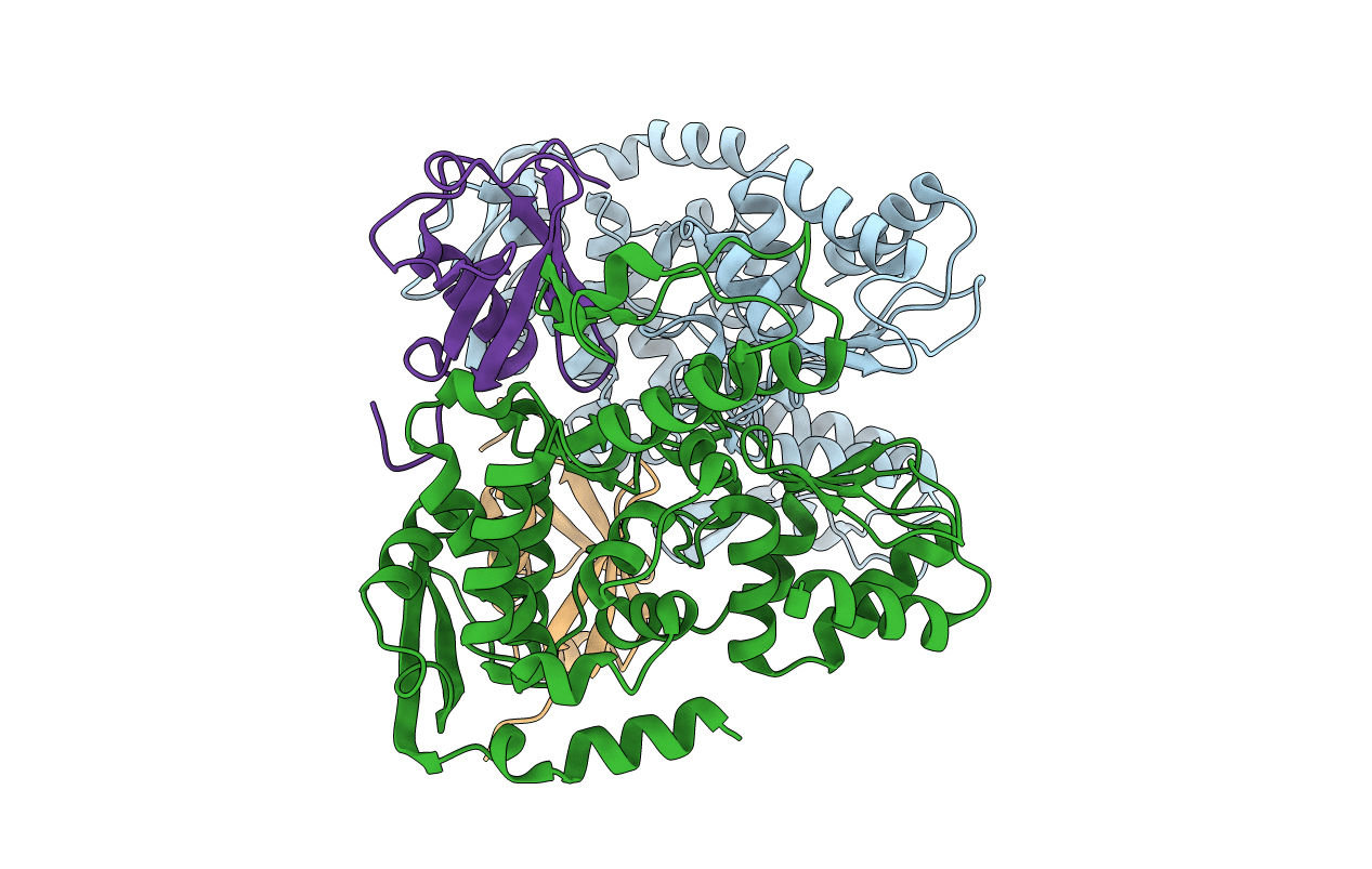 5HPL image