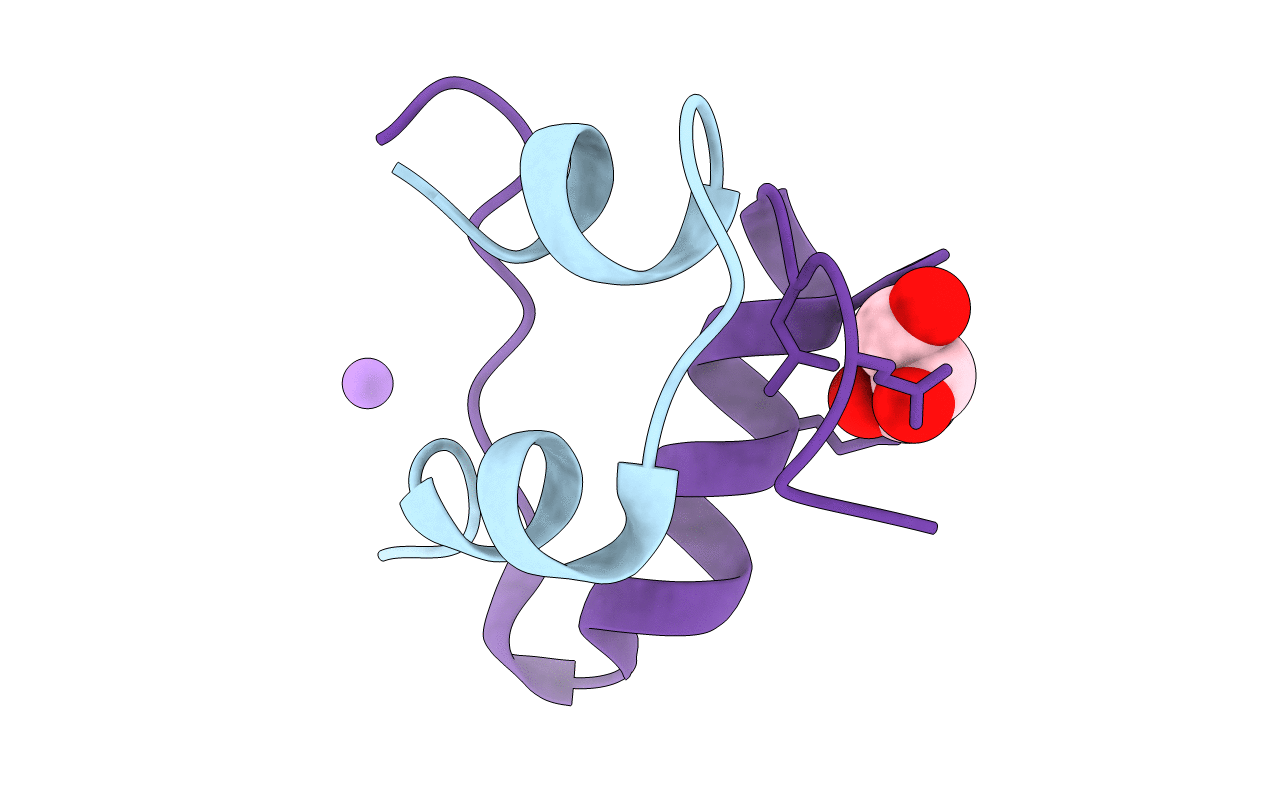 5HPR image