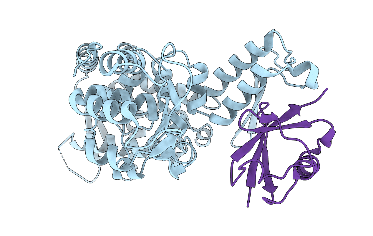5HPS image
