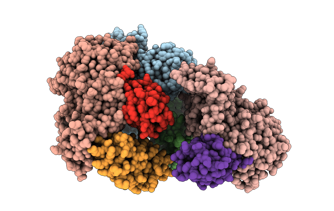 5HPT image