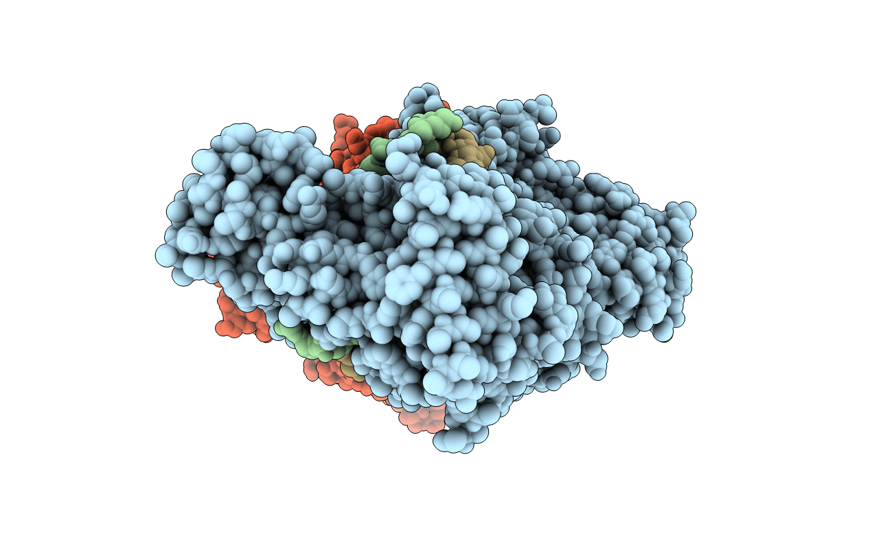 5HR4 image