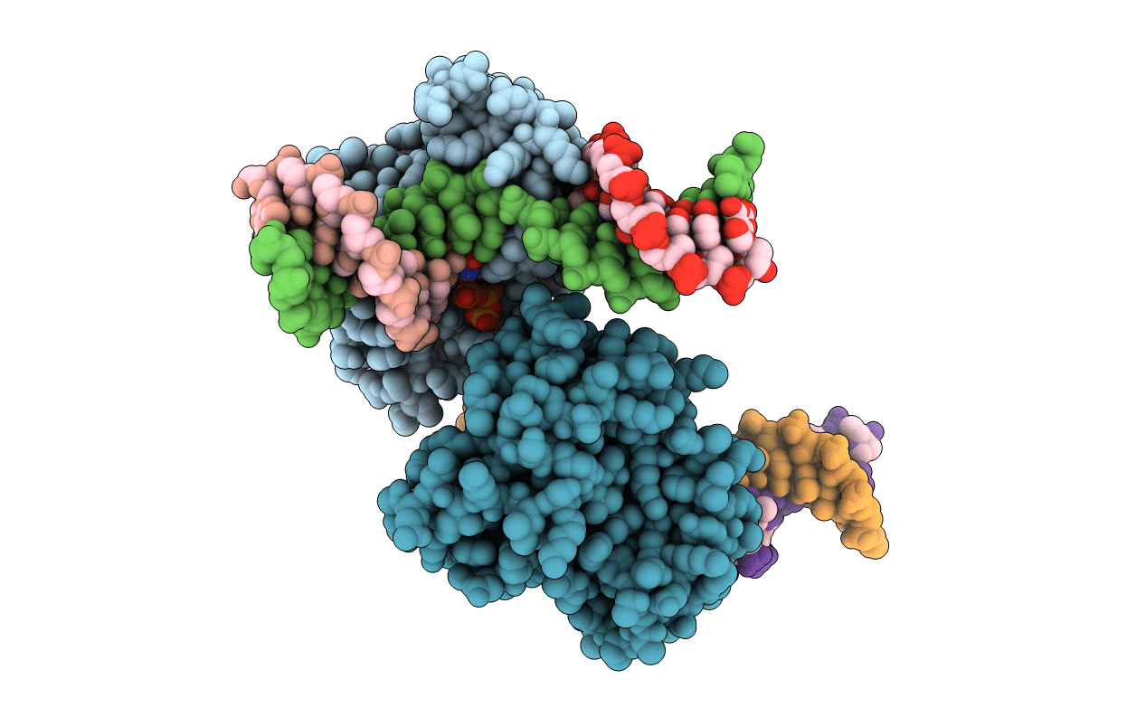 5HRI image