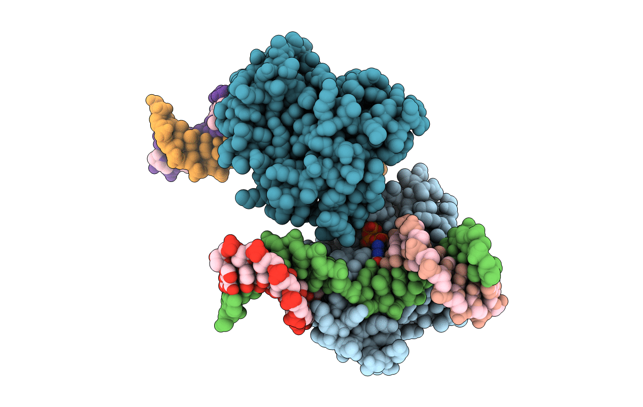 5HRL image