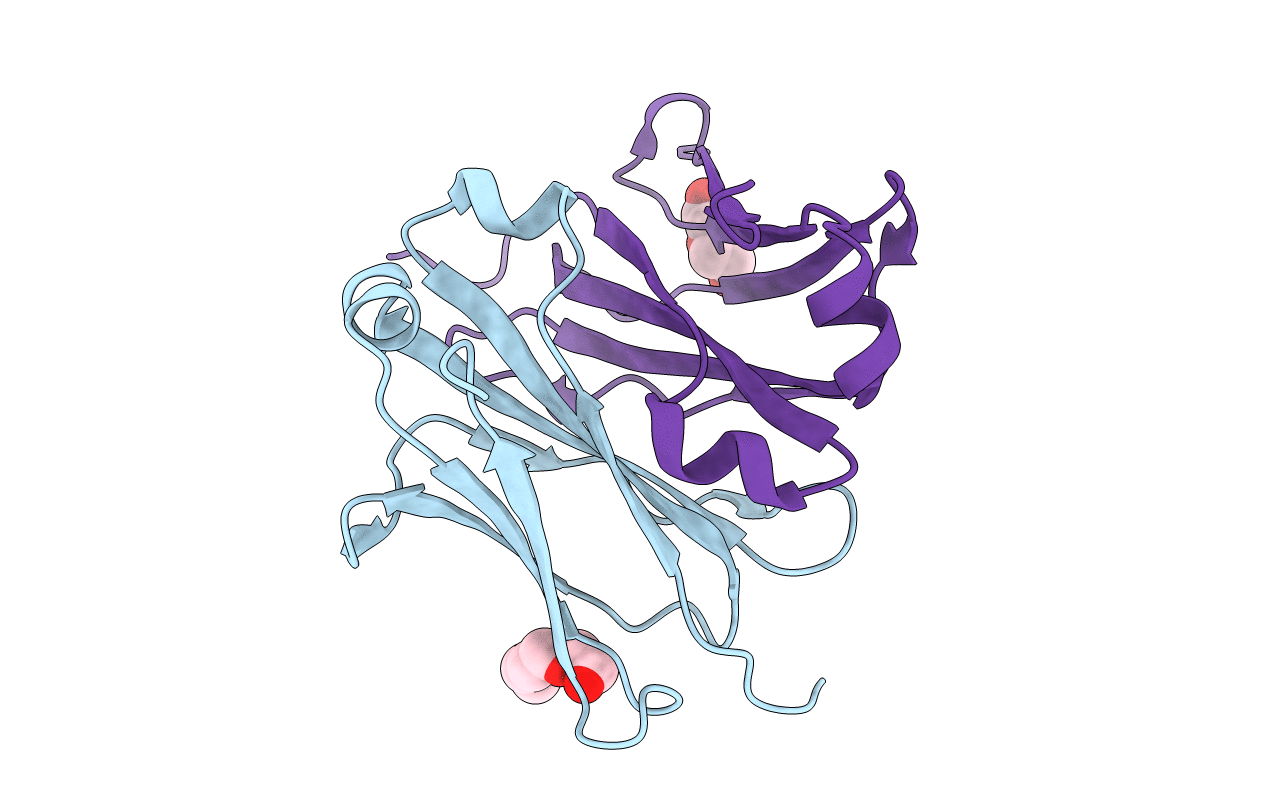 5HSF image