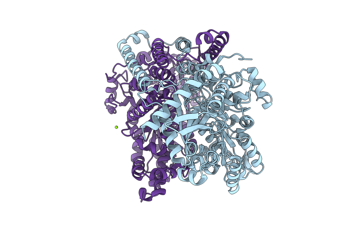 5HSI image