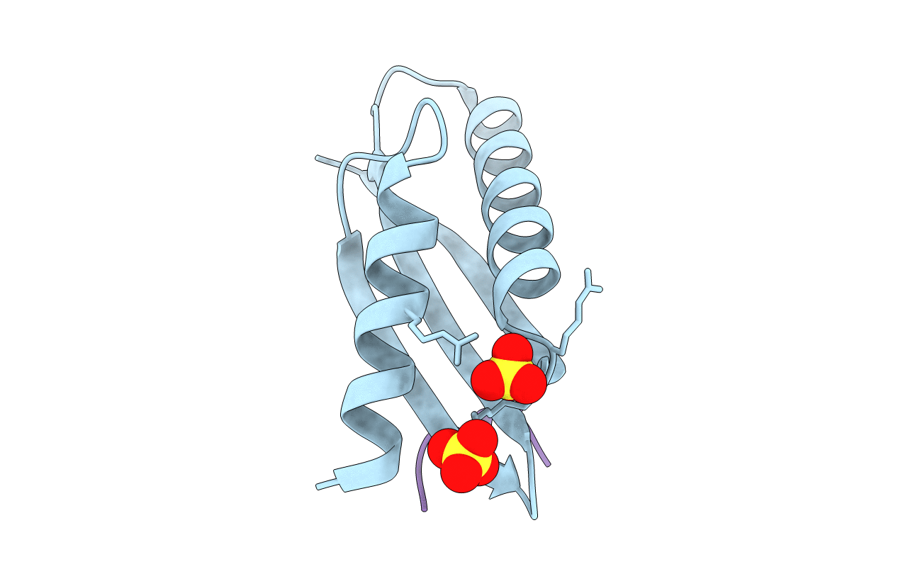 5HSP image