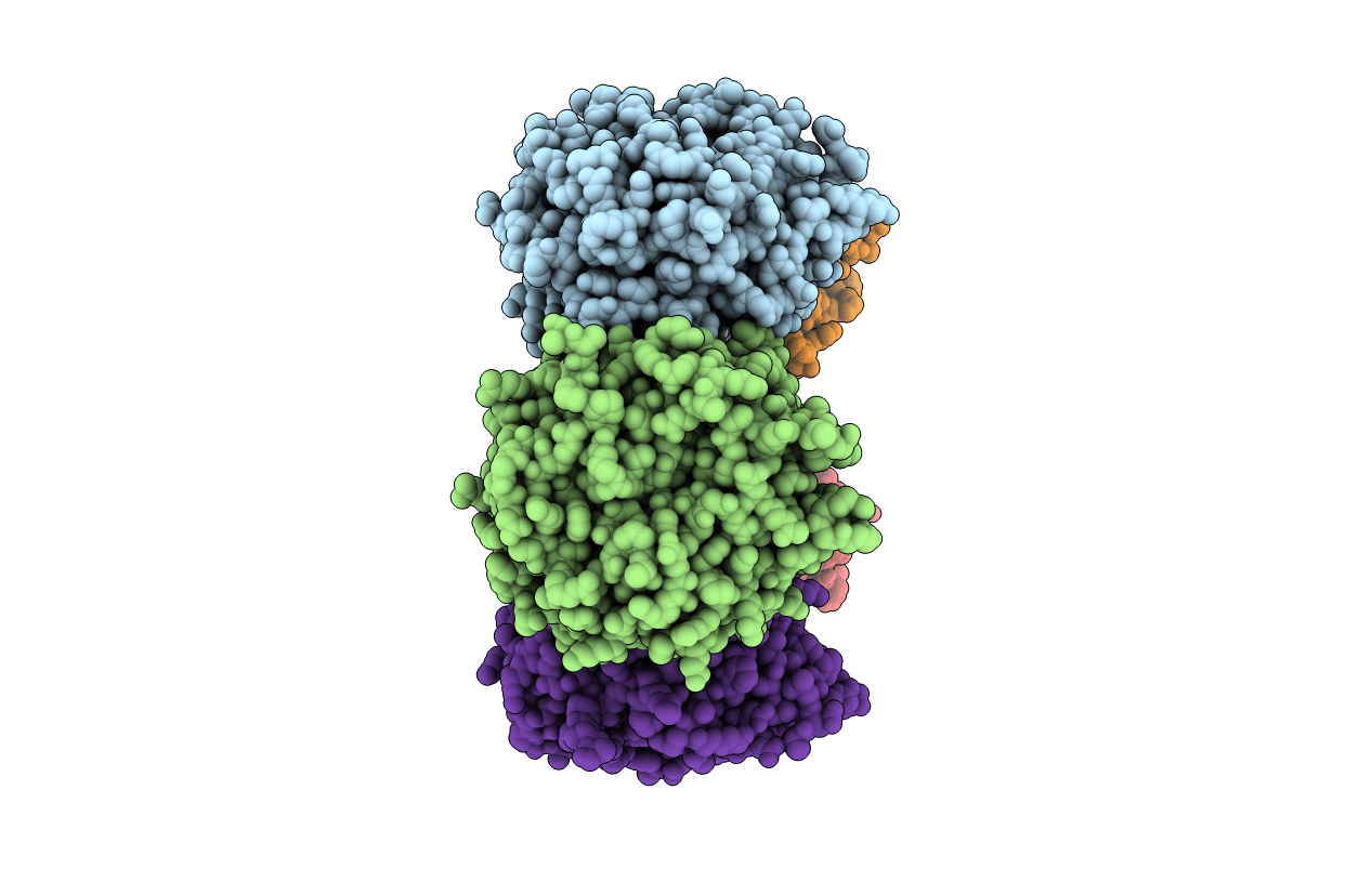 5HSS image