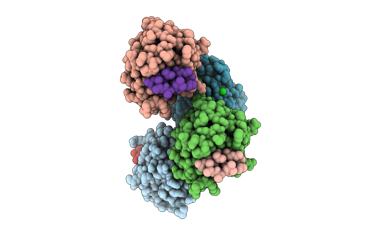 5HSV image
