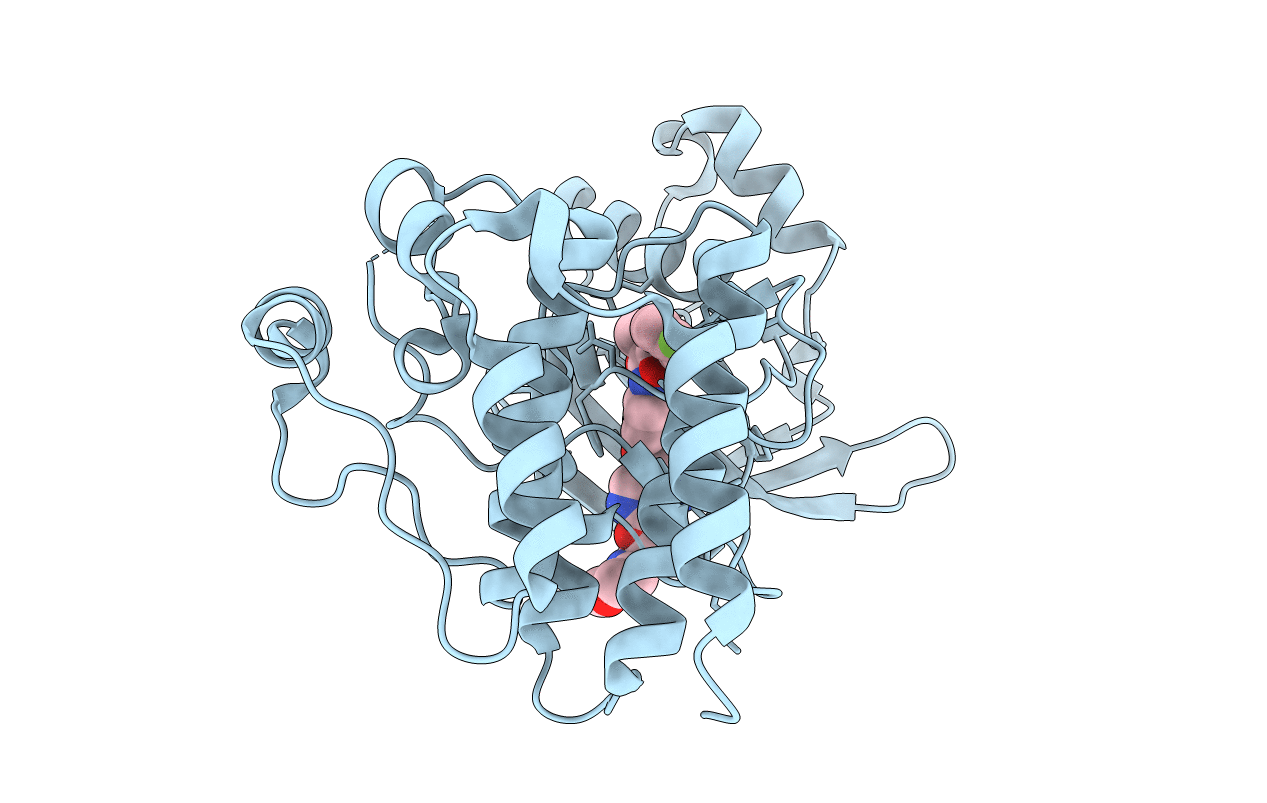 5HTI image