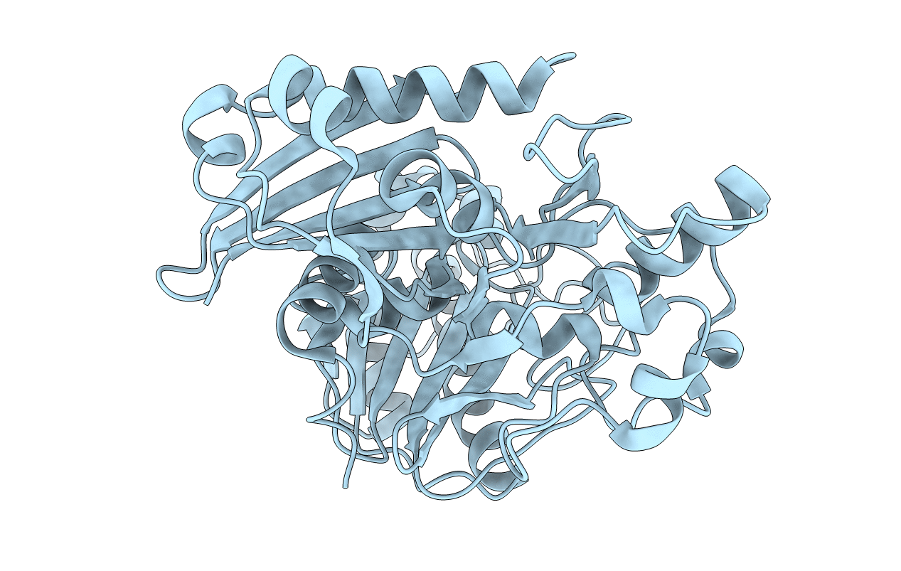 5HTN image