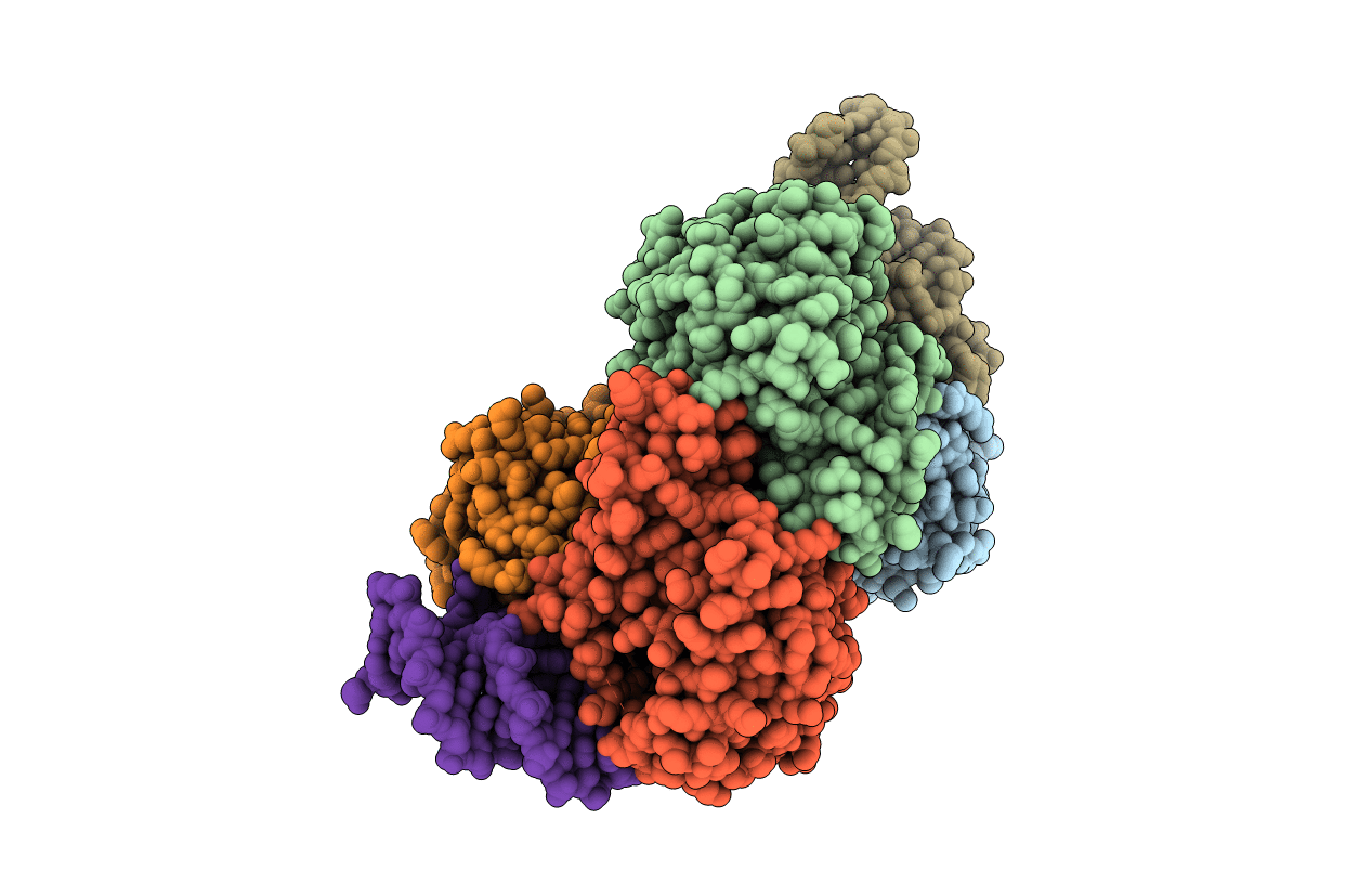 5HTO image