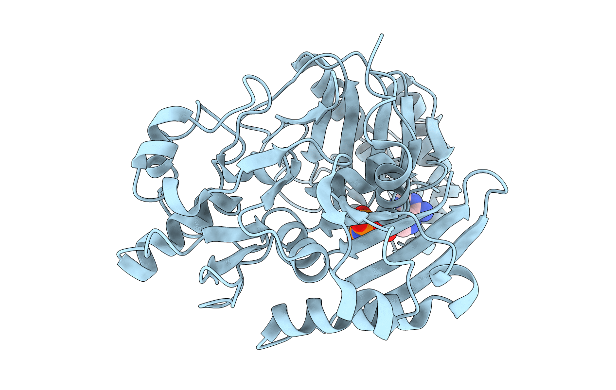 5HTP image