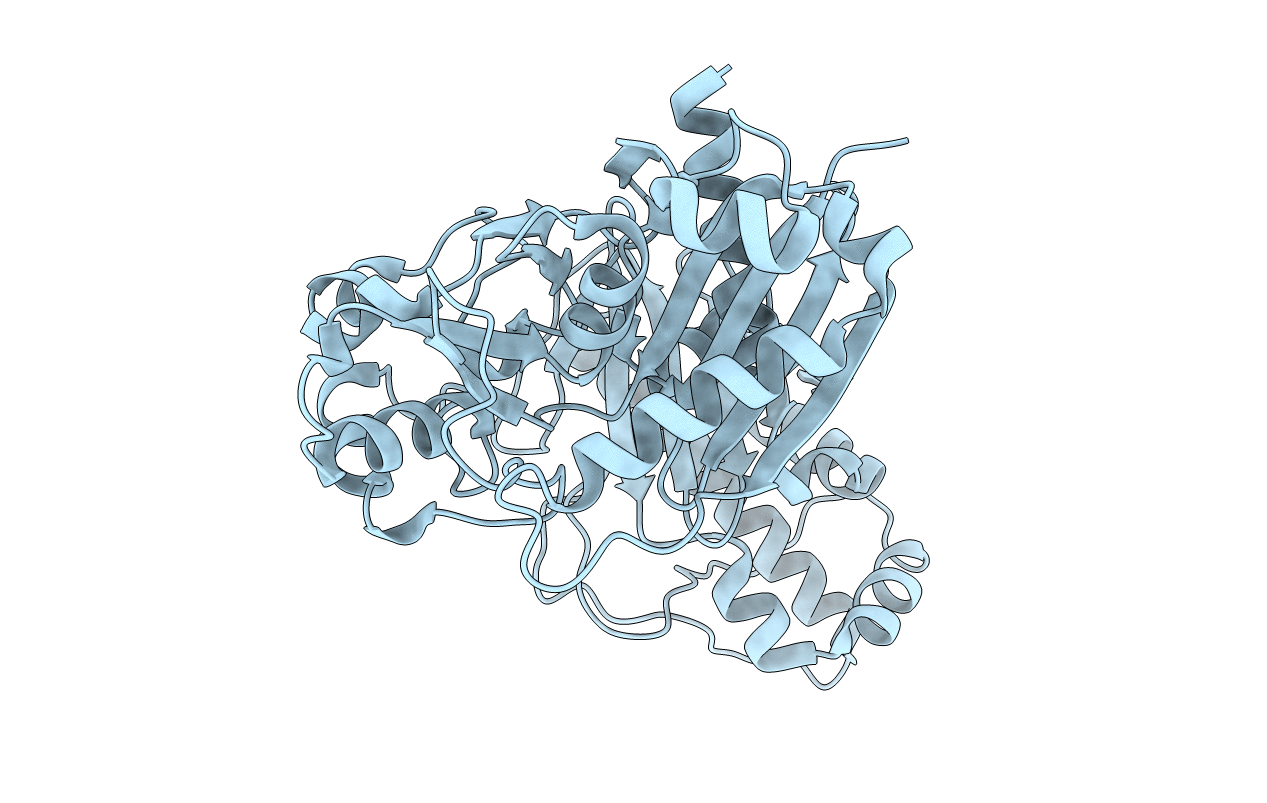 5HTR image