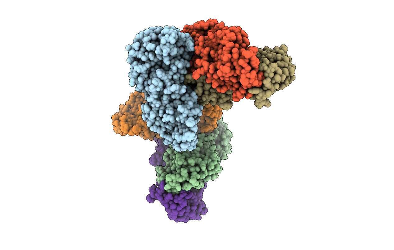 5HUP image