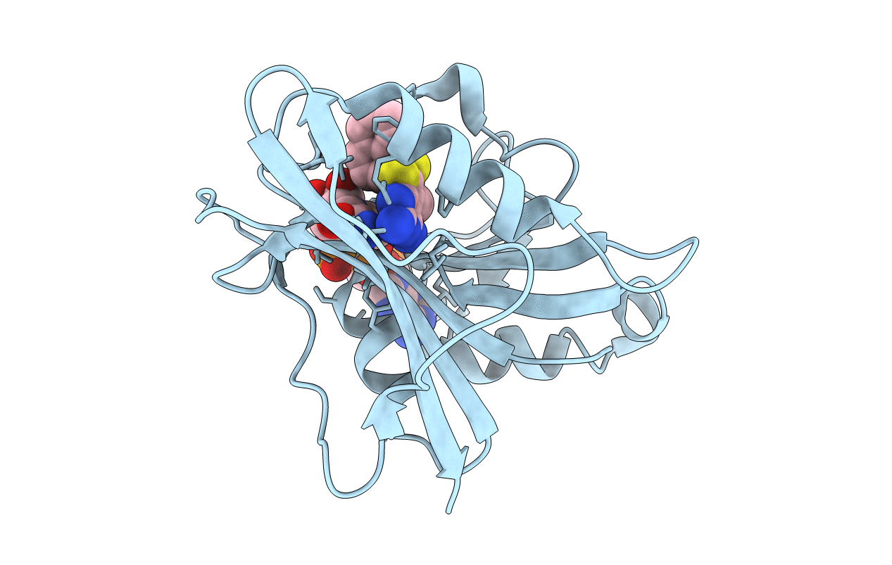 5HVB image