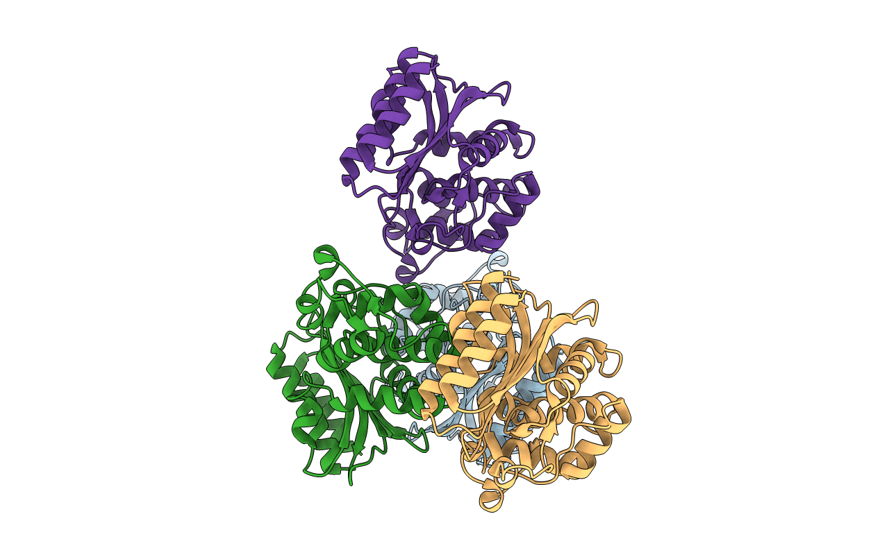 5HVI image