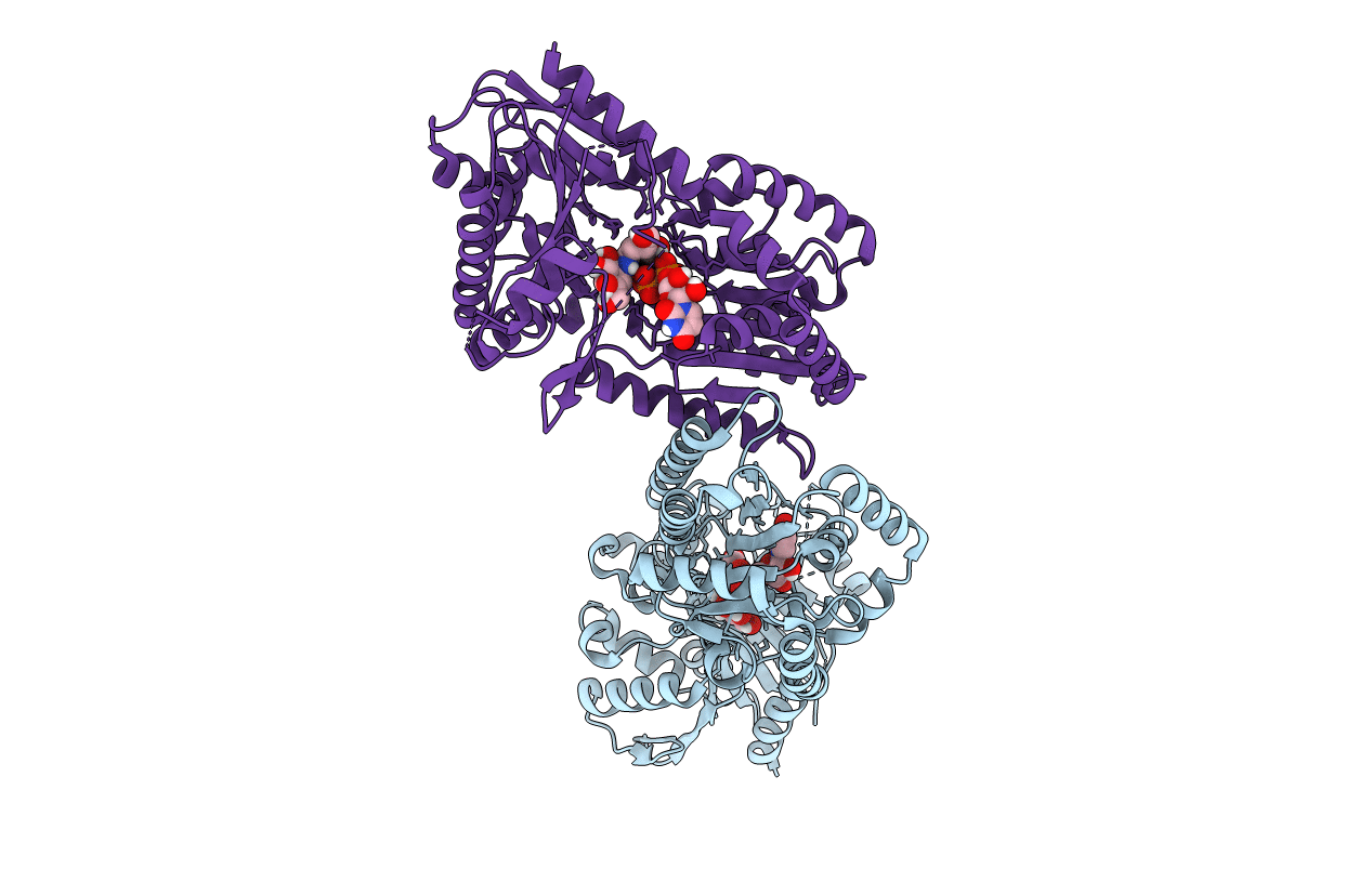 5HVM image