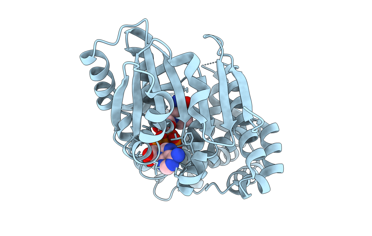 5HVN image