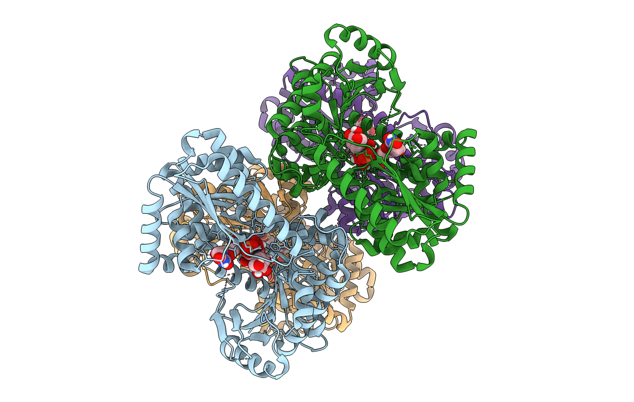 5HVO image