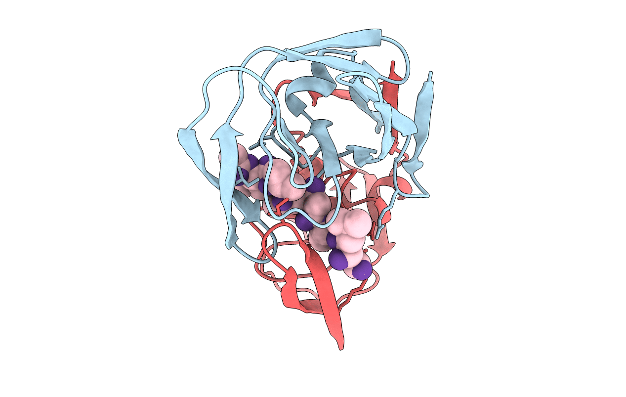 5HVP image