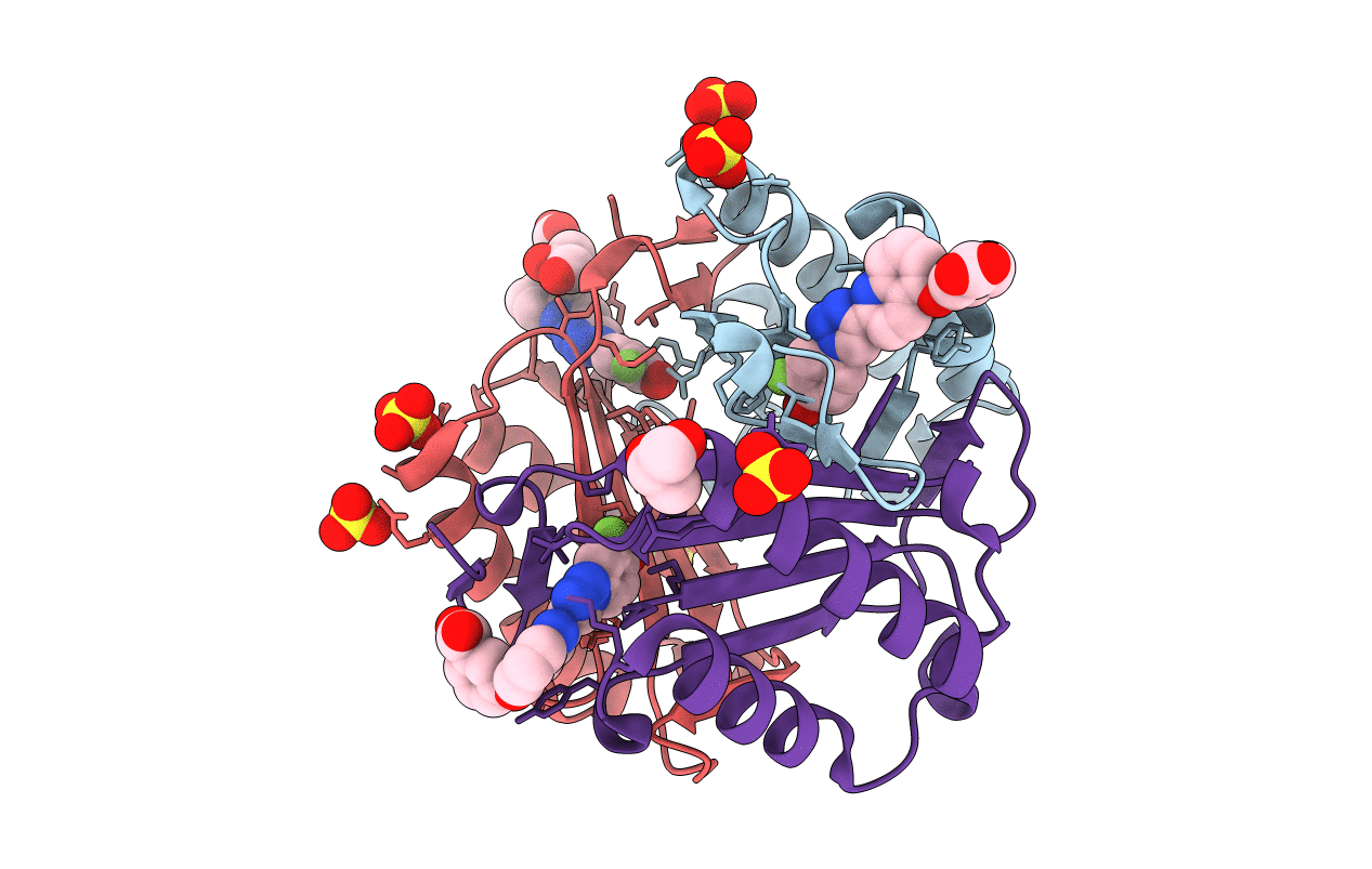 5HVS image