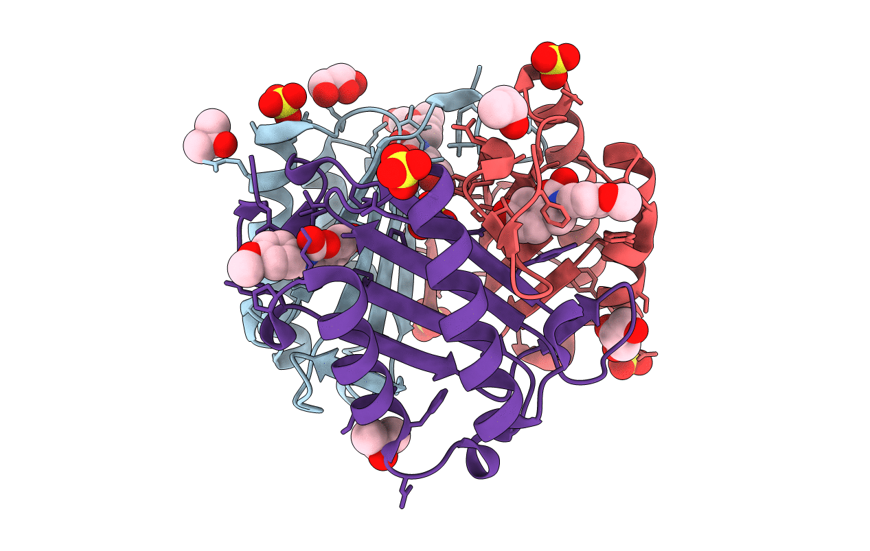5HVT image