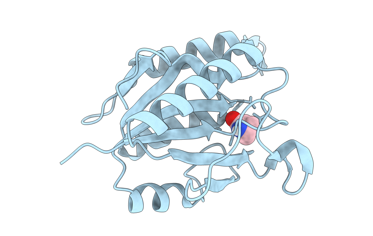 5HWH image