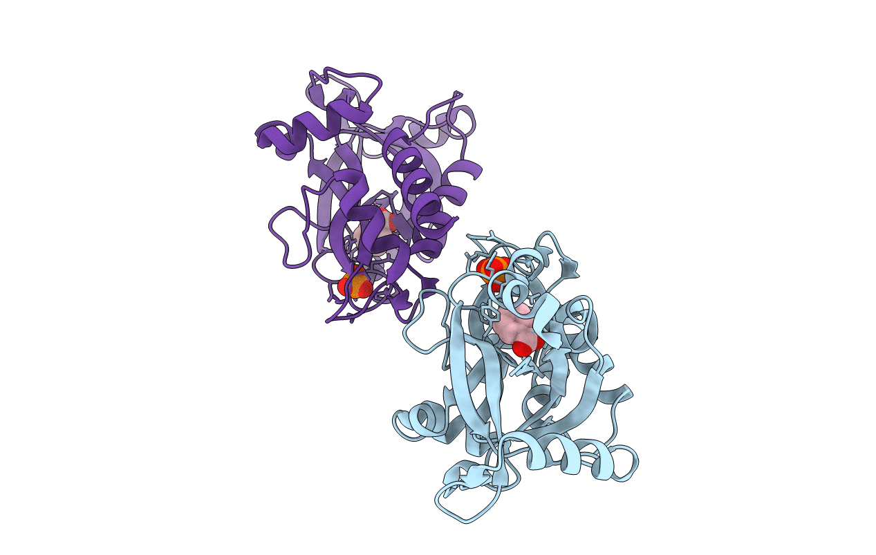 5HWK image