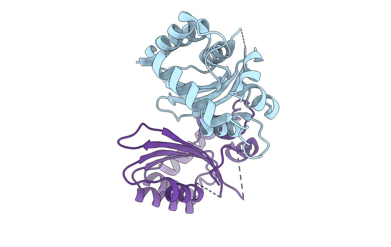 5HX4 image