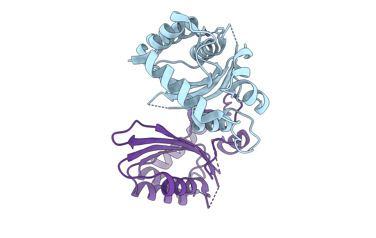 5HX5 image