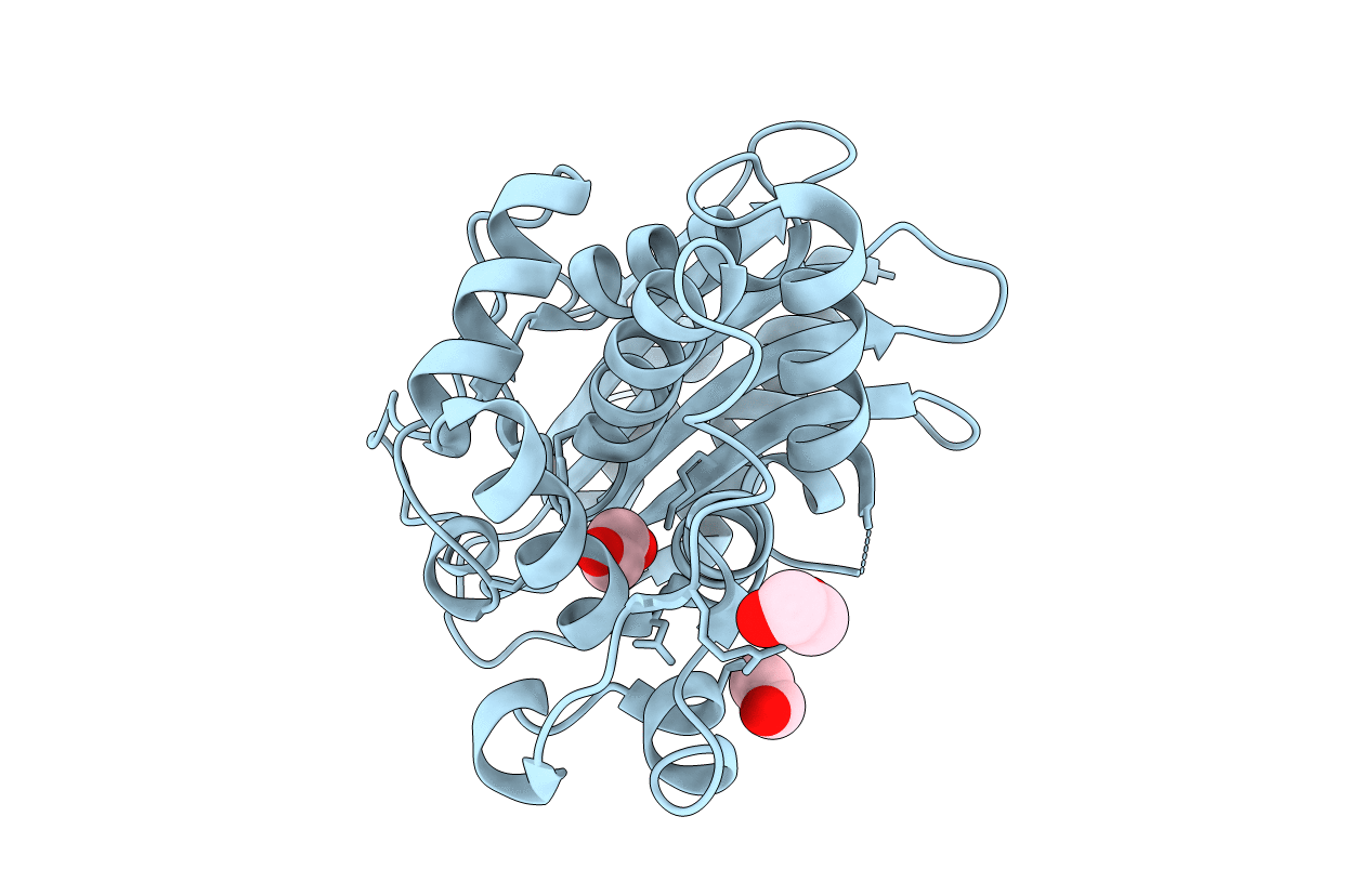 5HX9 image