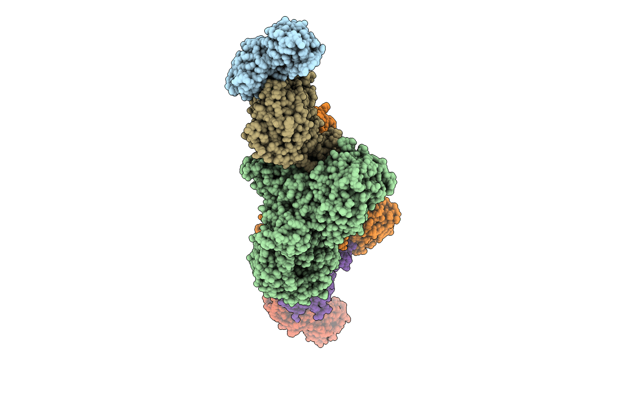 5HXB image