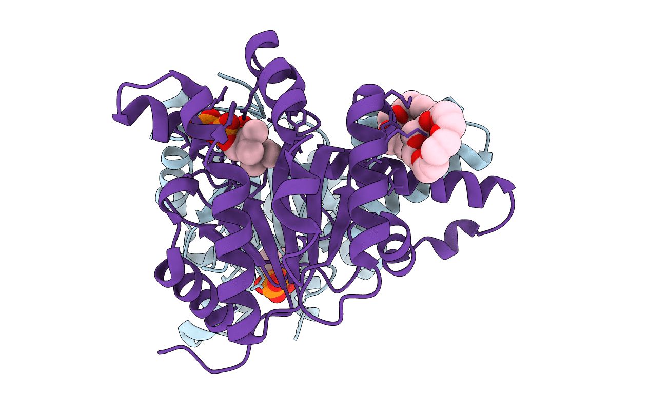 5HXP image