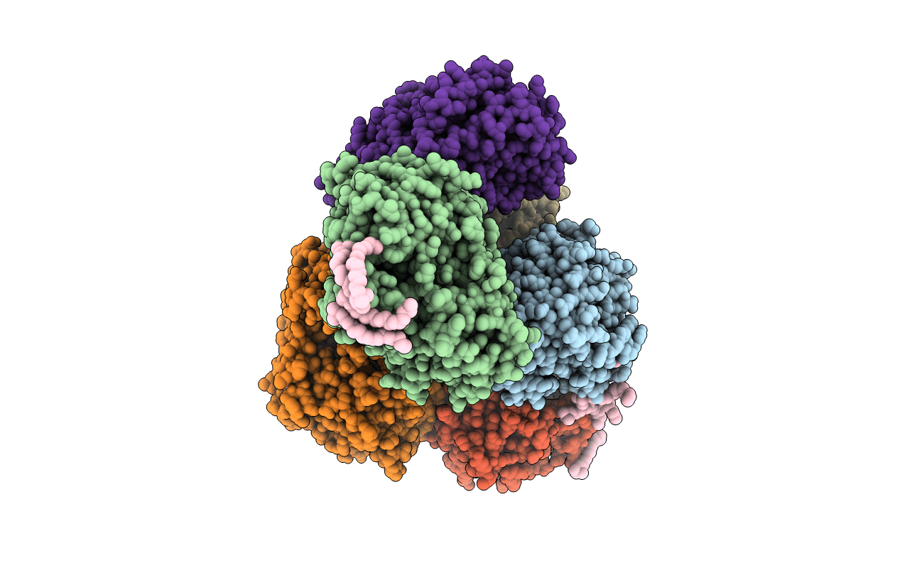 5HXW image