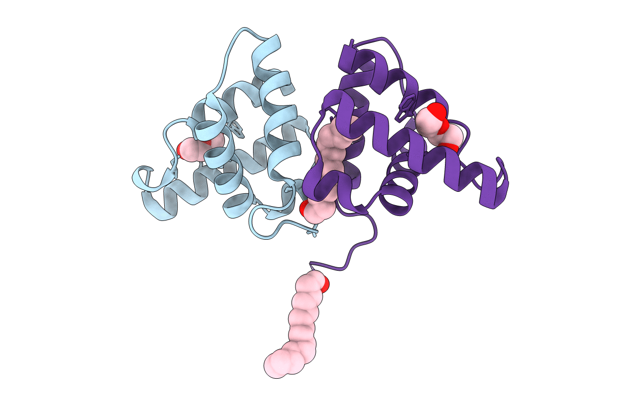 5HYB image