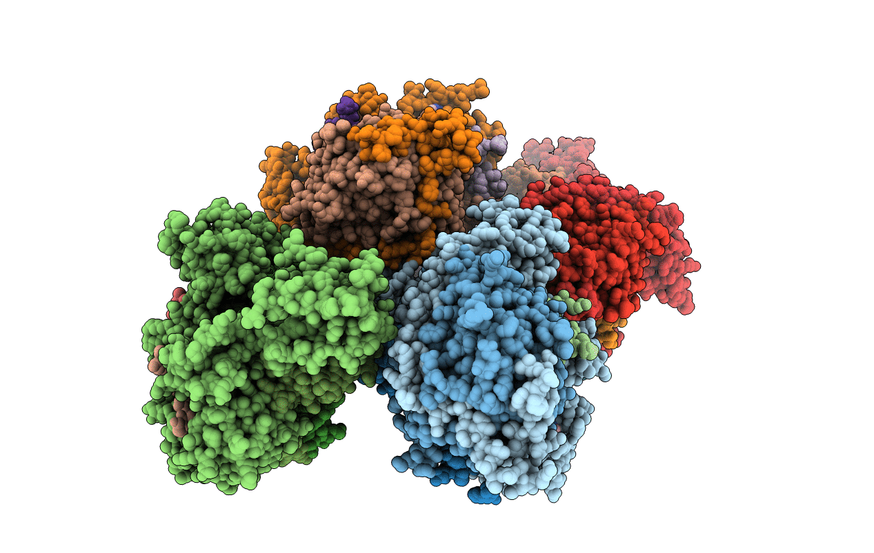 5HYN image
