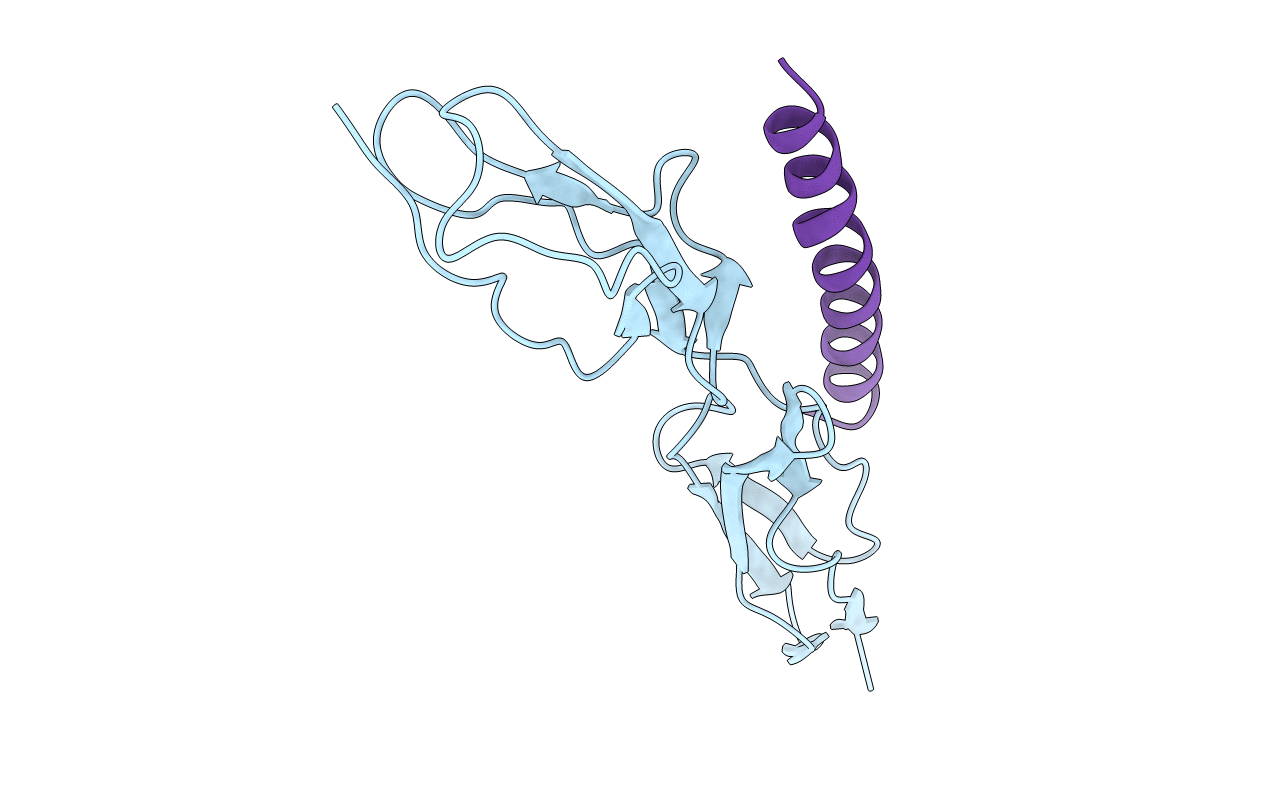 5HYP image