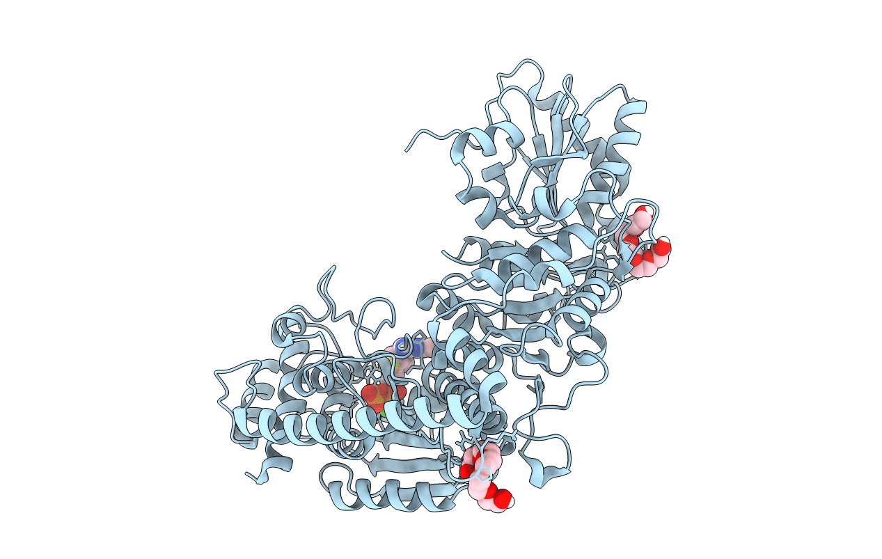 5HYV image