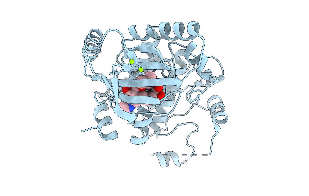 5HZE image